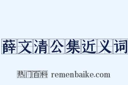 薛文清公集近义词是什么意思的图片